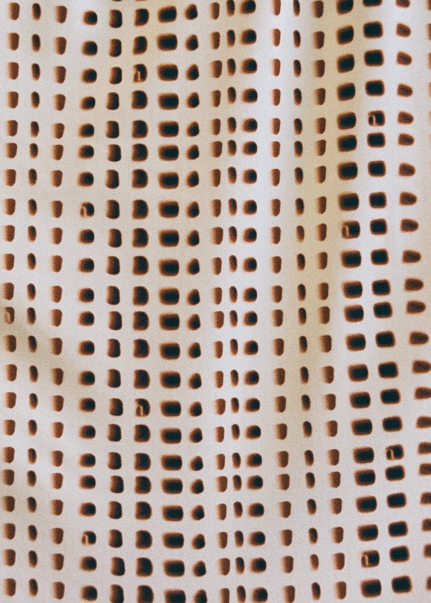 junonia