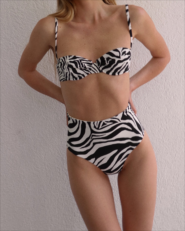 zebra
